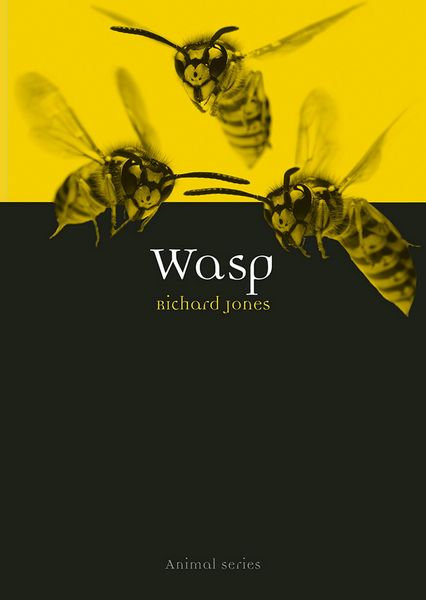 Produktbild: Wasp