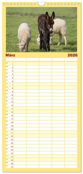 Produktbild: Familienplaner 2026 - Esel - h&uuml;bsch, klug und flei&szlig;ig mit 5 Spalten (Wandkalender, 21 x 45 cm) CALVENDO