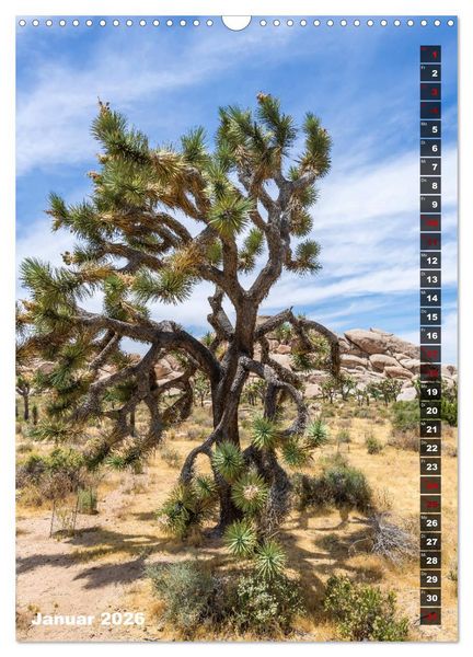Produktbild: Impressionen aus dem JOSHUA TREE NATIONAL PARK (Wandkalender 2026 DIN A3 hoch), CALVENDO Monatskalender