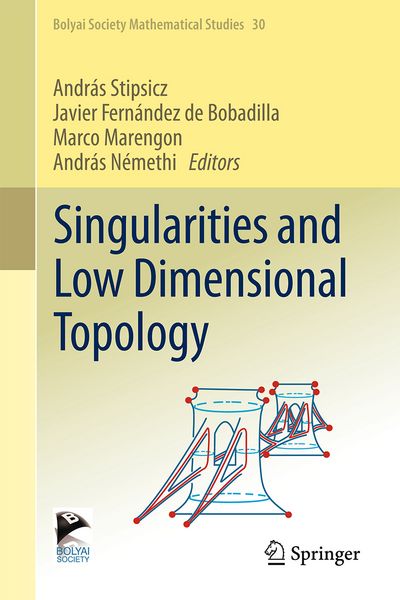 Produktbild: Singularities and Low Dimensional Topology