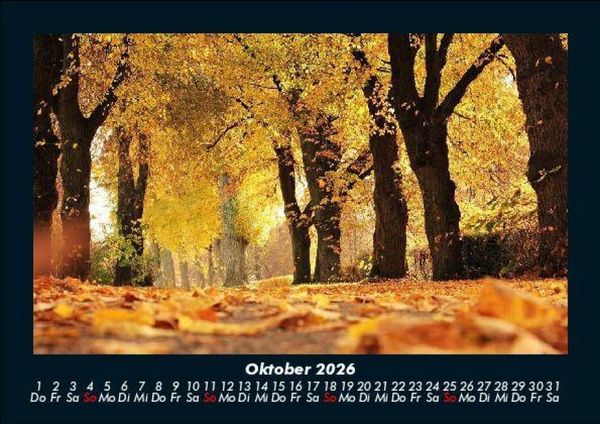 Produktbild: B&auml;ume 2026 Fotokalender DIN A5