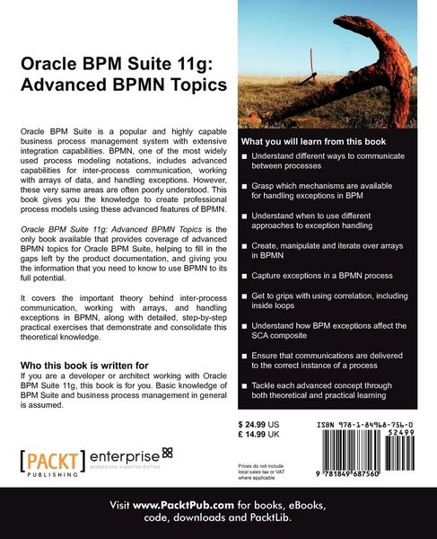 Produktbild: Oracle Bpm Suite 11g