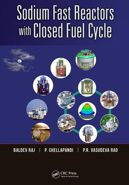 Produktbild: Sodium Fast Reactors with Closed Fuel Cycle