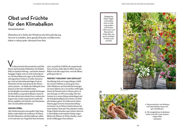 Produktbild: Klimahelden auf dem Balkon