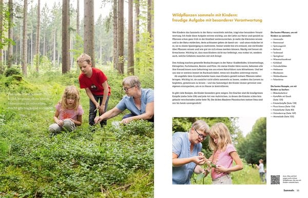 Produktbild: Wildkräuter – Bestimmen, Sammeln, Zubereiten