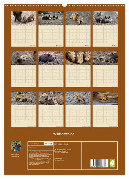 Produktbild: Wildschweine (hochwertiger Premium Wandkalender 2026 DIN A2 hoch), Kunstdruck in Hochglanz