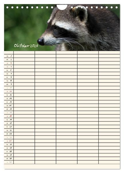 Produktbild: Waschb&auml;ren Familienplaner (Wandkalender 2026 DIN A4 hoch), CALVENDO Monatskalender