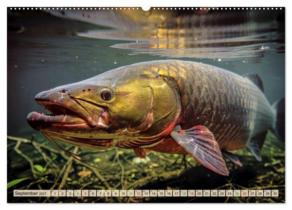 Produktbild: Gro&szlig;tiere - Weltweit (hochwertiger Premium Wandkalender 2027 DIN A2 quer), Kunstdruck in Hochglanz