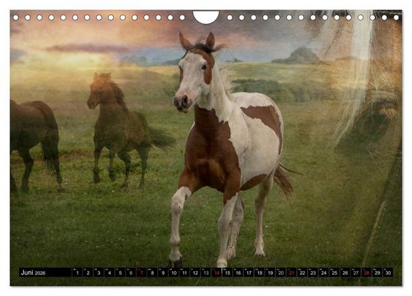 Produktbild: Western-Feeling (Wandkalender 2026 DIN A4 quer), CALVENDO Monatskalender