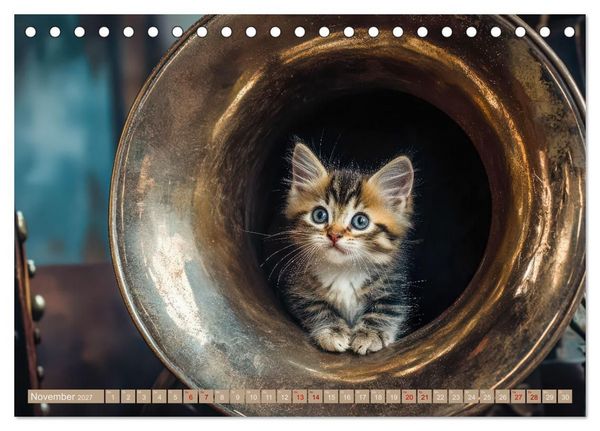 Produktbild: Miau-sikalische Momente (Tischkalender 2027 DIN A5 quer), CALVENDO Monatskalender