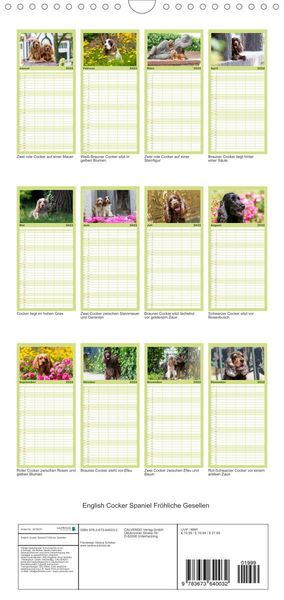 Produktbild: Familienplaner English Cocker Spaniel - Fr&ouml;hliche Gesellen (Wandkalender 2022 , 21 cm x 45 cm, hoch)
