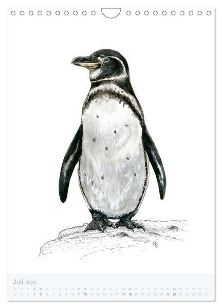 Produktbild: Pinguine - 13 Illustrationen (Wandkalender 2026 DIN A4 hoch), CALVENDO Monatskalender