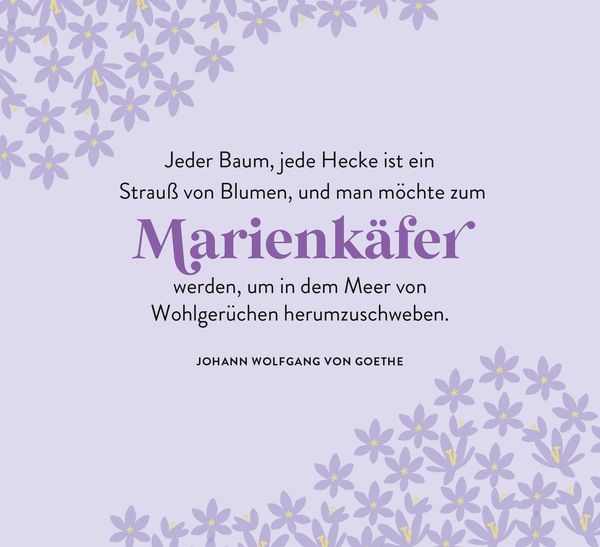 Produktbild: Ein Meer aus Bl&uuml;ten