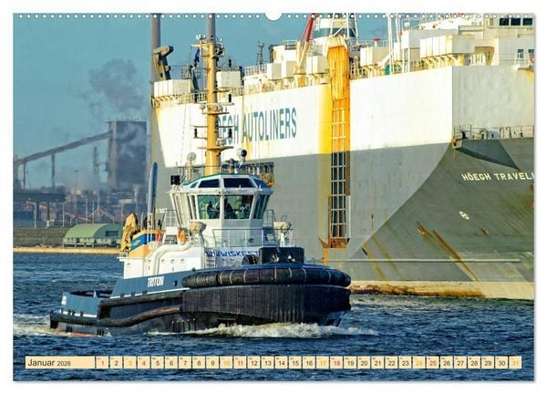 Produktbild: Schlepper - b&auml;renstarke Arbeitstiere (Wandkalender 2026 DIN A2 quer), CALVENDO Monatskalender