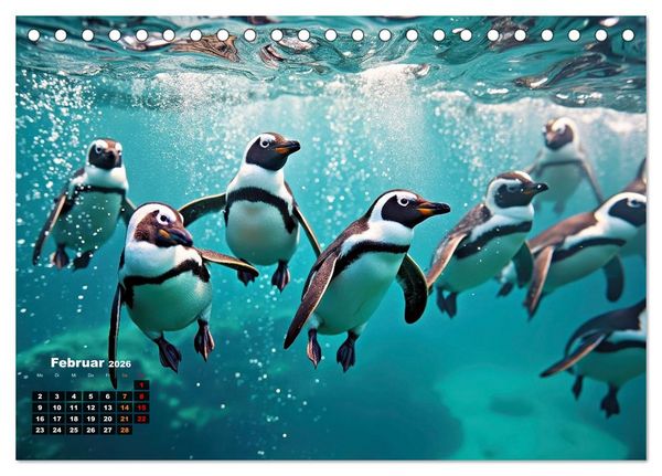 Produktbild: Mit den Pinguinen (Tischkalender 2026 DIN A5 quer), CALVENDO Monatskalender