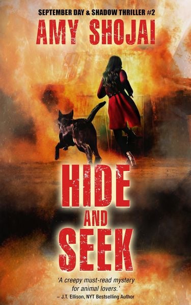 Produktbild: Hide And Seek (September Day & Shadow, #2)