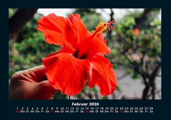 Produktbild: Blumentr&auml;ume 2026 Fotokalender DIN A4