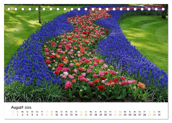 Produktbild: Auf Tour im Land der Tulpen (Tischkalender 2026 DIN A5 quer), CALVENDO Monatskalender