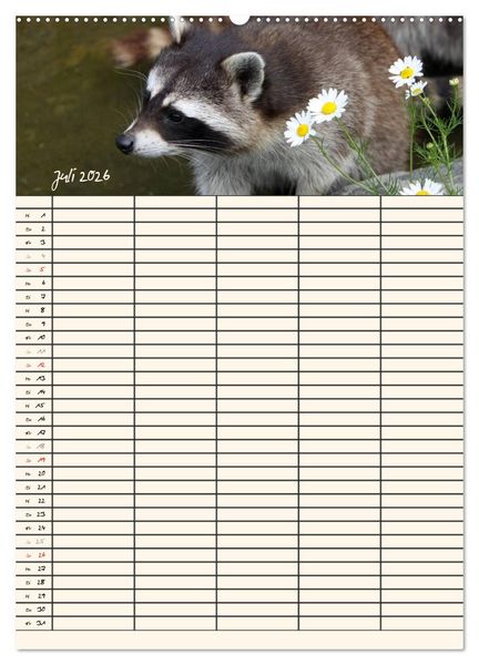 Produktbild: Waschb&auml;ren Familienplaner (hochwertiger Premium Wandkalender 2026 DIN A2 hoch), Kunstdruck in Hochglanz