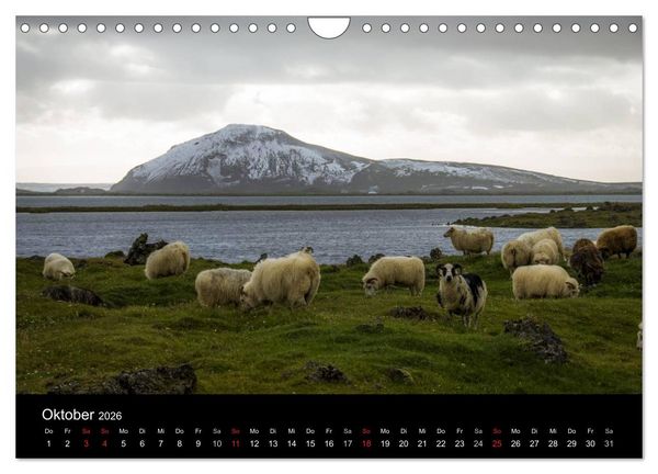 Produktbild: Island (Wandkalender 2026 DIN A4 quer), CALVENDO Monatskalender