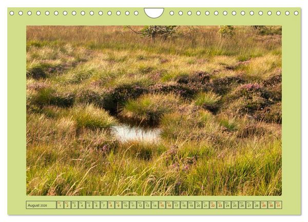 Produktbild: Wonderful Black Forest (Wall Calendar 2026 DIN A4 landscape), CALVENDO 12 Month Wall Calendar