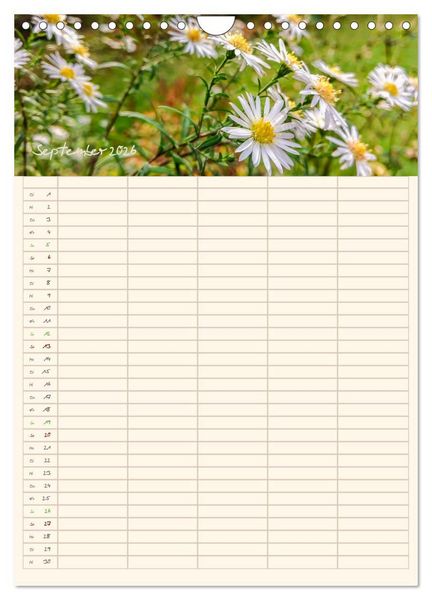 Produktbild: Mit Blick in den Garten (Wandkalender 2026 DIN A4 hoch), CALVENDO Monatskalender