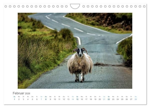 Produktbild: Street Moments (Wandkalender 2026 DIN A4 quer), CALVENDO Monatskalender