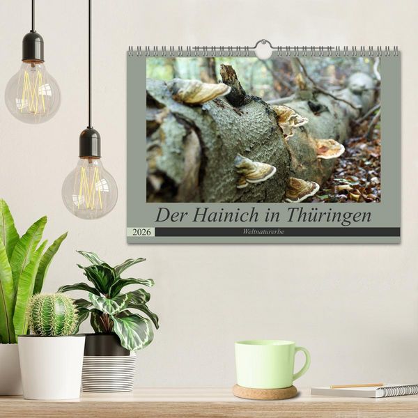 Produktbild: Der Hainich in Th&uuml;ringen - Weltnaturerbe (Wandkalender 2026 DIN A4 quer), CALVENDO Monatskalender