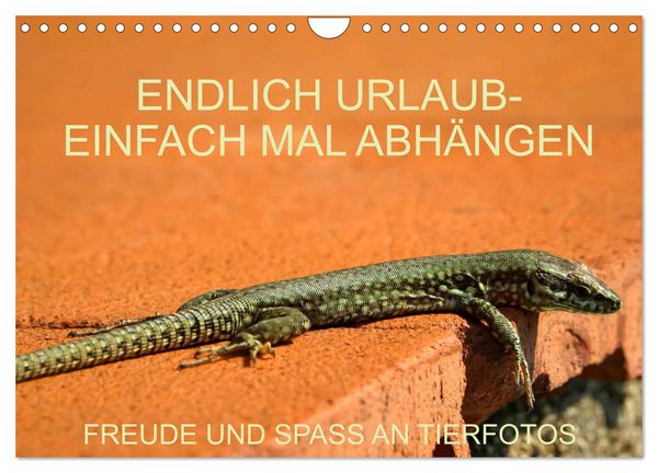Freude und Spaß an Tierfotos (Wandkalender 2026 DIN A4 quer), CALVENDO Monatskalender