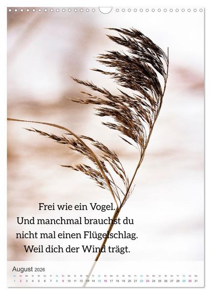 Produktbild: Manchmal - Poetische Momentaufnahmen (Wandkalender 2026 DIN A3 hoch), CALVENDO Monatskalender