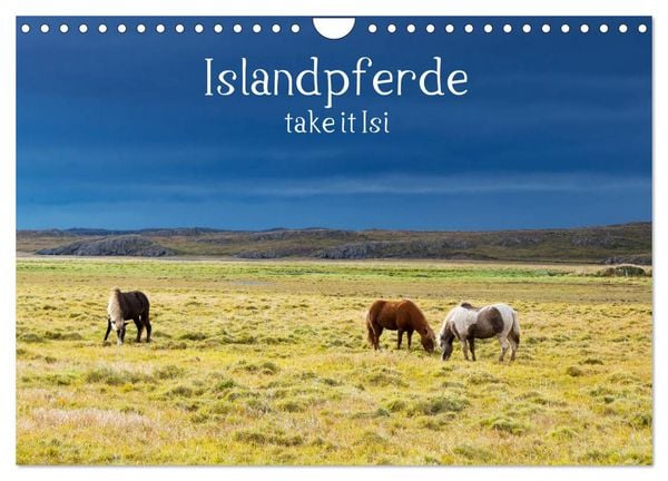 Produktbild: Islandpferde take it Isi (Wandkalender 2026 DIN A4 quer), CALVENDO Monatskalender