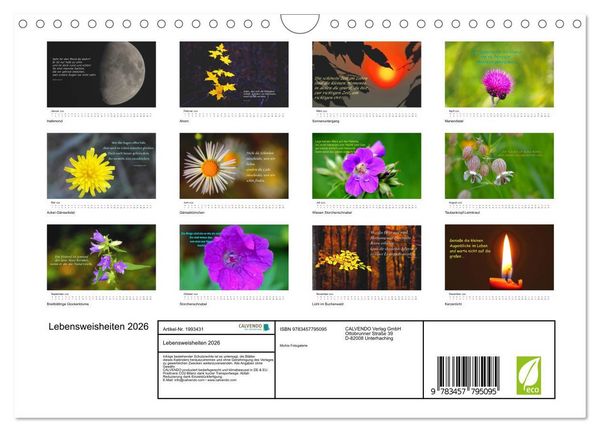 Produktbild: Lebensweisheiten 2026 (Wandkalender 2026 DIN A4 quer), CALVENDO Monatskalender