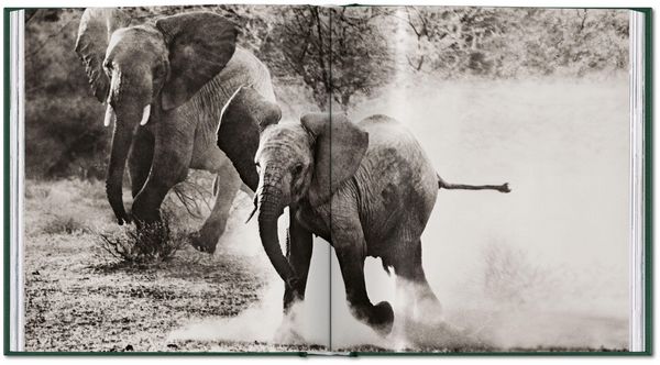 Produktbild: Peter Beard