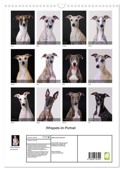 Produktbild: Whippets im Portrait (Wandkalender 2026 DIN A3 hoch), CALVENDO Monatskalender