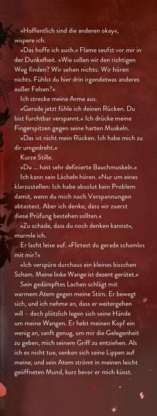 Produktbild: Palace of Ink & Illusions, Band 1 - Der Kuss der Muse