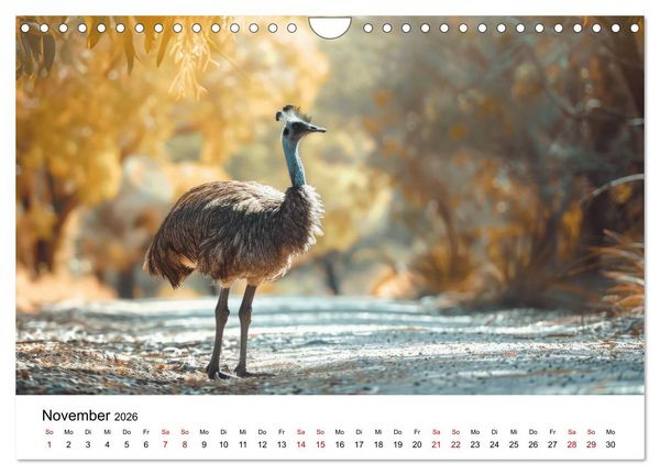 Produktbild: Wildes Down Under: Tiere des Australischen Kontinents (Wandkalender 2026 DIN A4 quer), CALVENDO Monatskalender