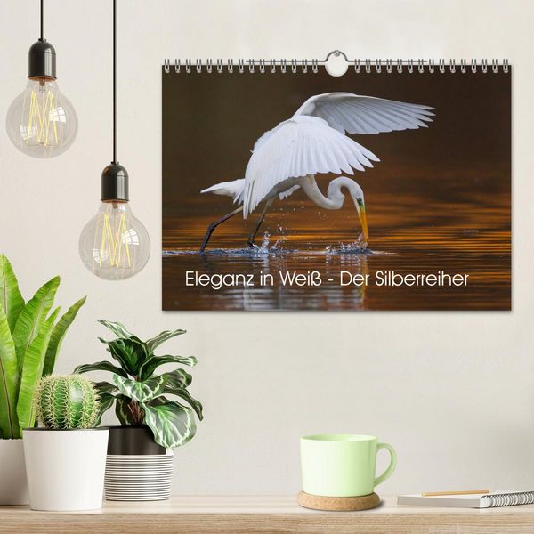 Produktbild: Eleganz in Wei&szlig; - Der Silberreiher (Wandkalender 2026 DIN A4 quer), CALVENDO Monatskalender