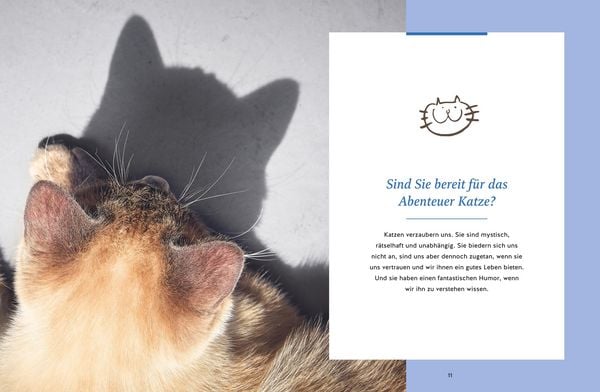 Produktbild: Wie wir Katzen gl&uuml;cklich machen