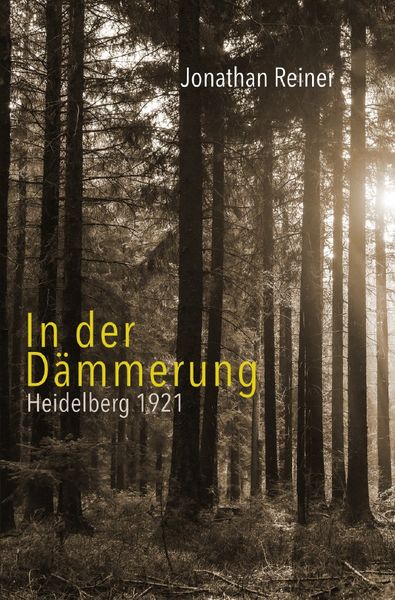 Produktbild: In der D&auml;mmerung