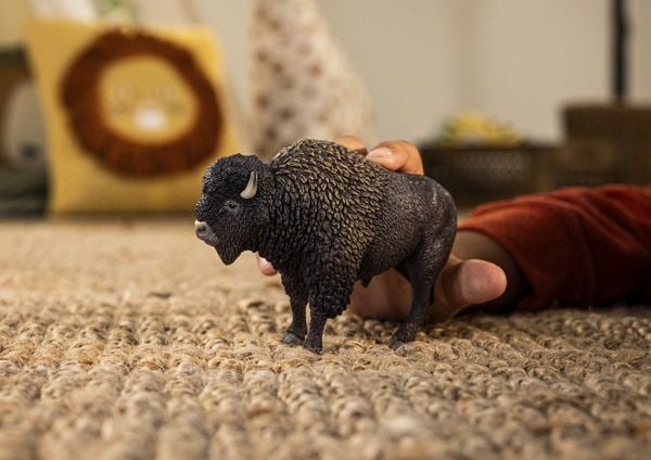 Produktbild: schleich&reg; Wild Life Bison