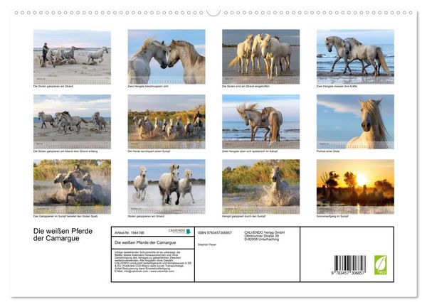 Produktbild: Die wei&szlig;en Pferde der Camargue (hochwertiger Premium Wandkalender 2026 DIN A2 quer), Kunstdruck in Hochglanz