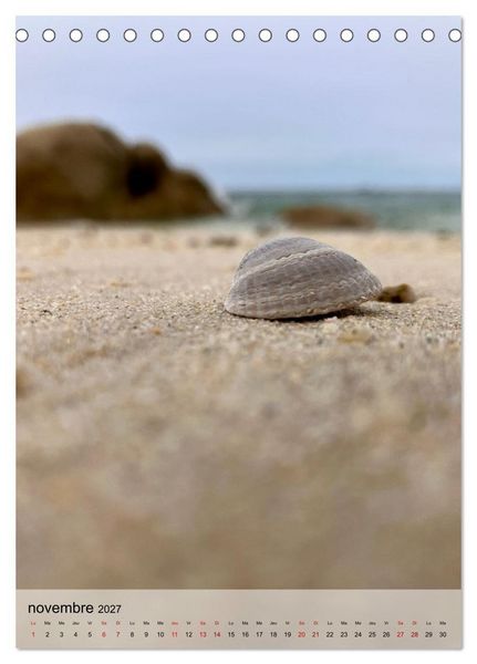 Produktbild: Plages et coquillages (Calendrier de bureau 2027 DIN A5 horizontal), CALVENDO calendrier mensuel