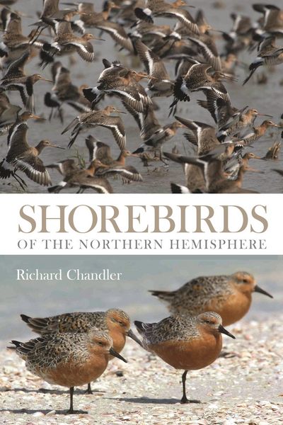 Produktbild: Shorebirds of the Northern Hemisphere