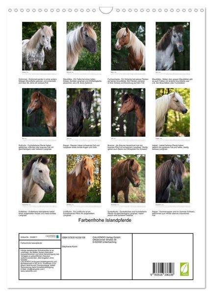 Produktbild: Farbenfrohe Islandpferde (Wandkalender 2026 DIN A3 hoch), CALVENDO Monatskalender