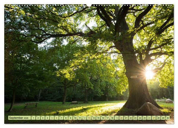 Produktbild: Gr&uuml;nes Halle/Saale - Meine wilde H&auml;ndelstadt (Wandkalender 2026 DIN A2 quer), CALVENDO Monatskalender