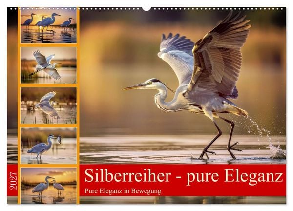 Produktbild: Silberreiher - pure Eleganz (Wandkalender 2027 DIN A2 quer), CALVENDO Monatskalender