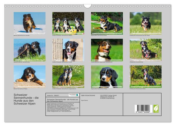 Produktbild: Schweizer Sennenhunde - die Hunde aus den Schweizer Alpen (Wandkalender 2026 DIN A3 quer), CALVENDO Monatskalender
