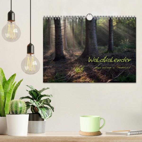 Produktbild: Waldkalender (Wandkalender 2026 DIN A4 quer), CALVENDO Monatskalender