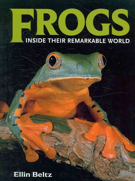 Produktbild: Frogs