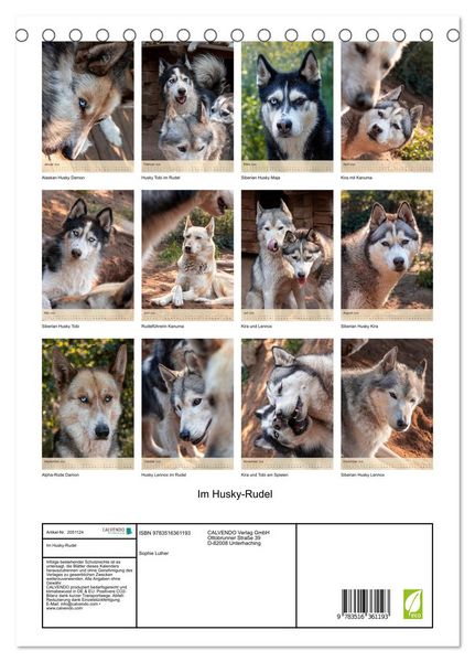 Produktbild: Im Husky-Rudel (Tischkalender 2026 DIN A5 hoch), CALVENDO Monatskalender